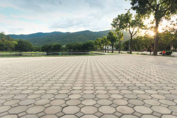 Best Local Driveway Pavers  in Porters Neck, NC