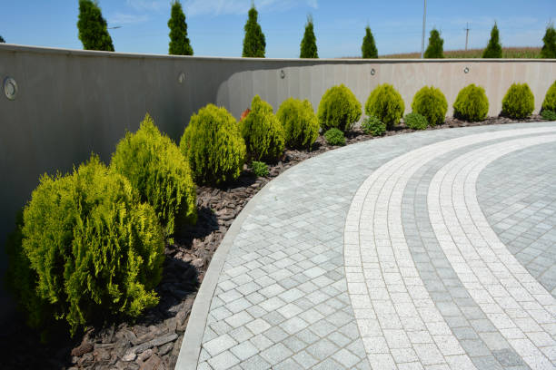 Best Local Driveway Pavers  in Porters Neck, NC